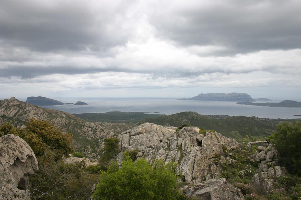 Agriturismo Cabu Abbas Villa Olbia Eksteriør bilde