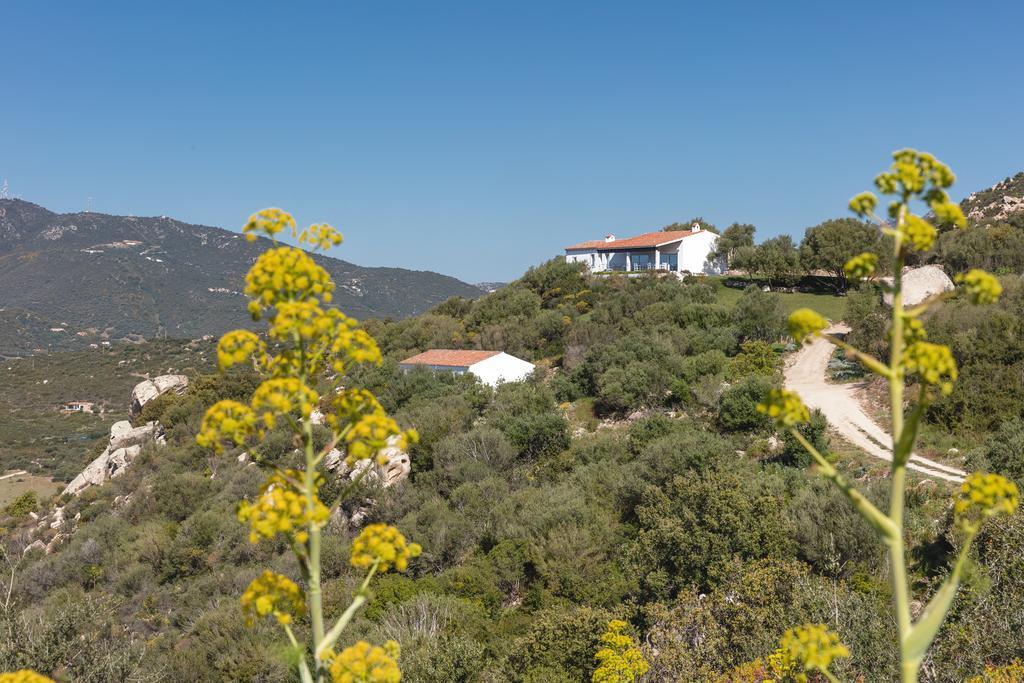 Agriturismo Cabu Abbas Villa Olbia Eksteriør bilde